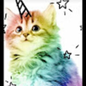 Meet your Posher, Natalie ward